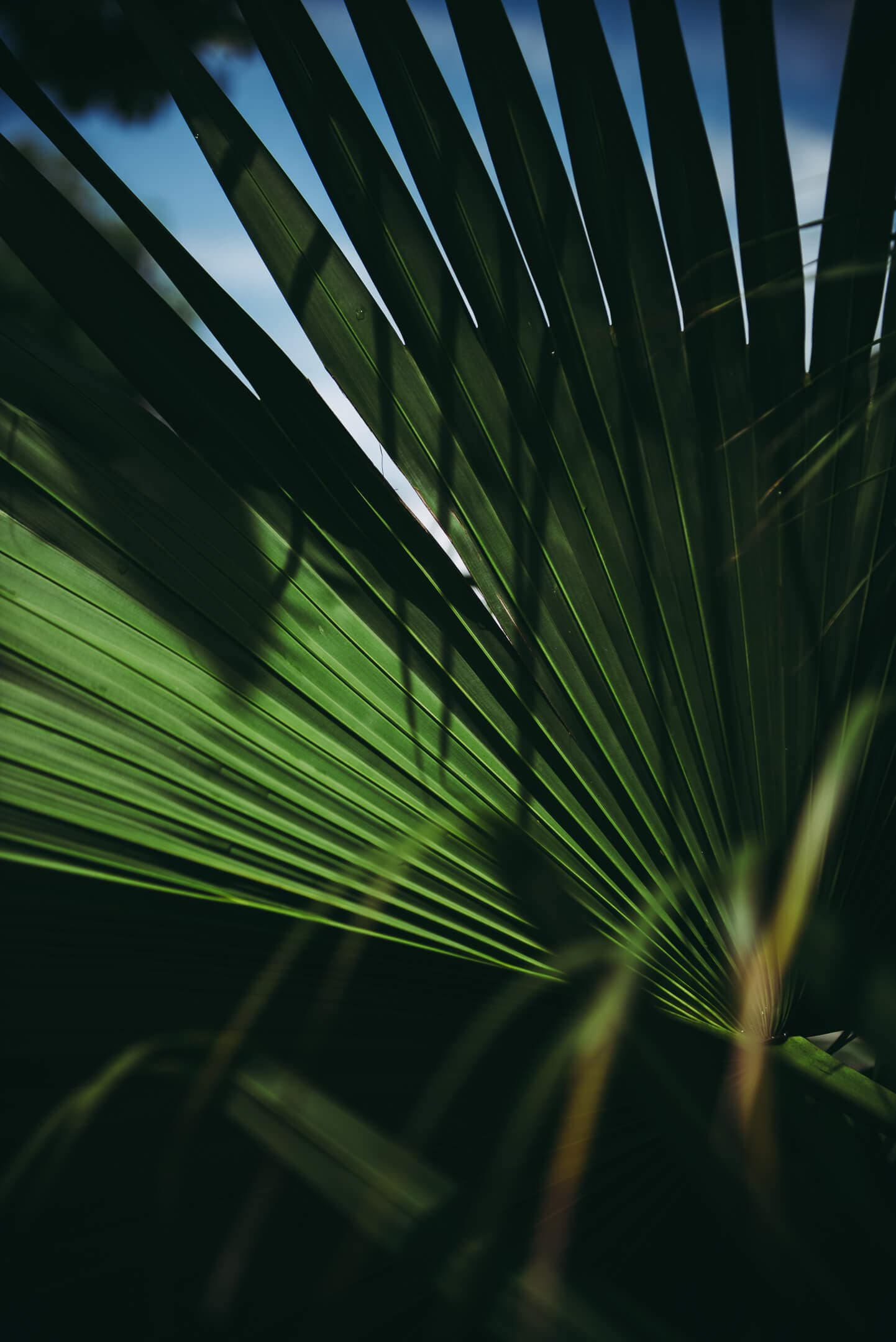 Marea Architecture detail 1