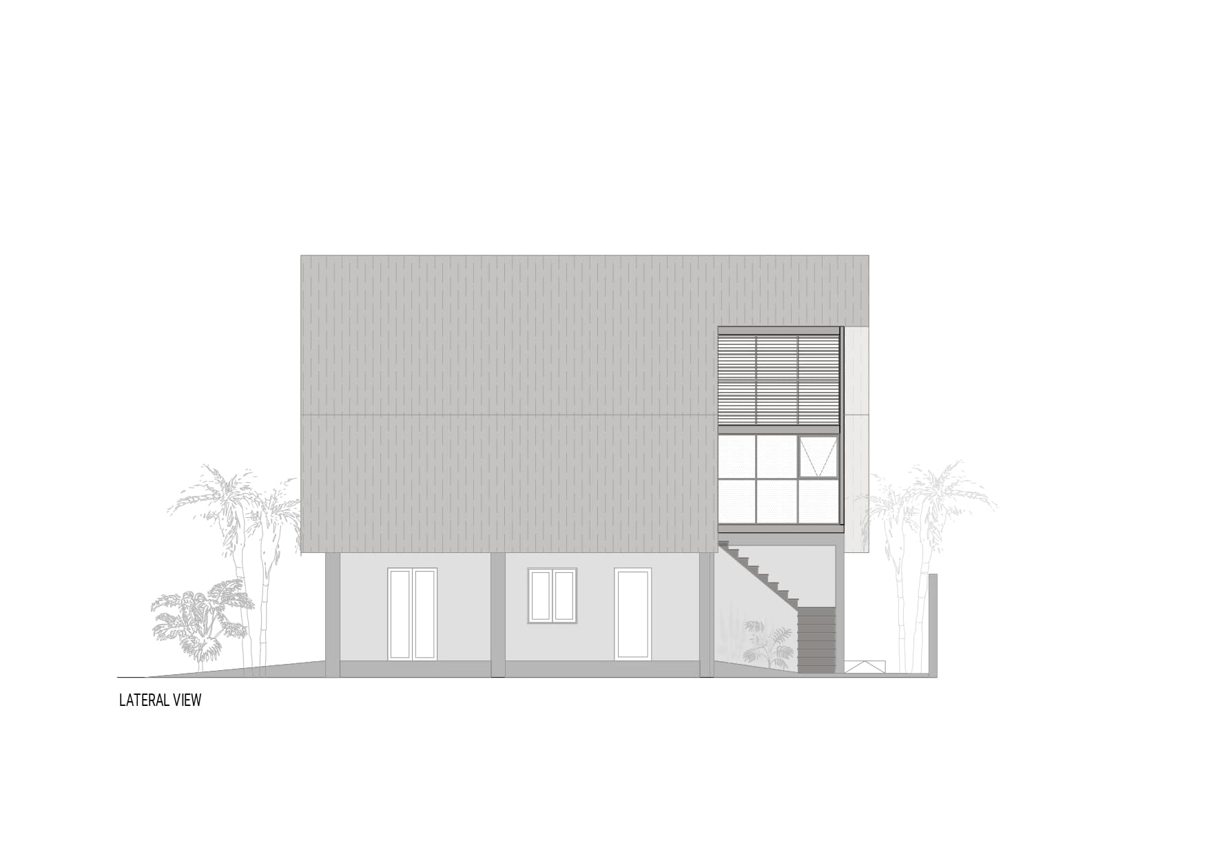 Garden path with tropical plants